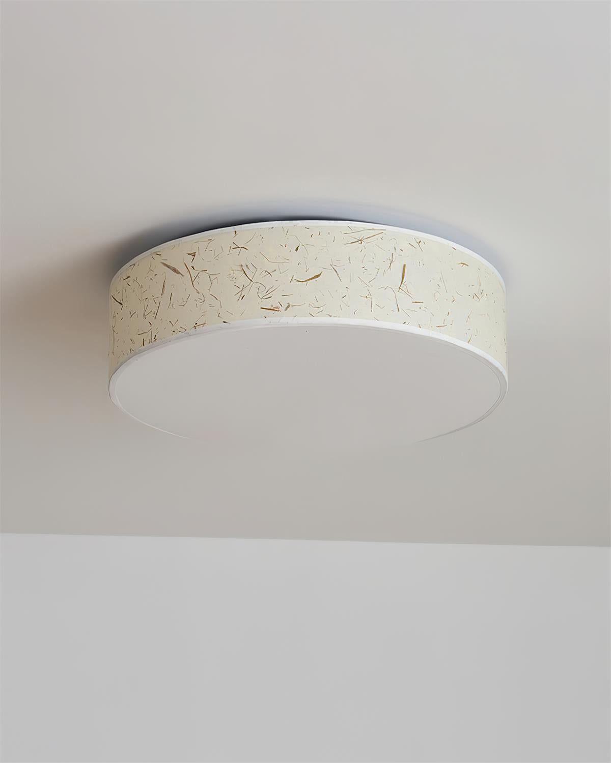 Elowen Ceiling Lamp