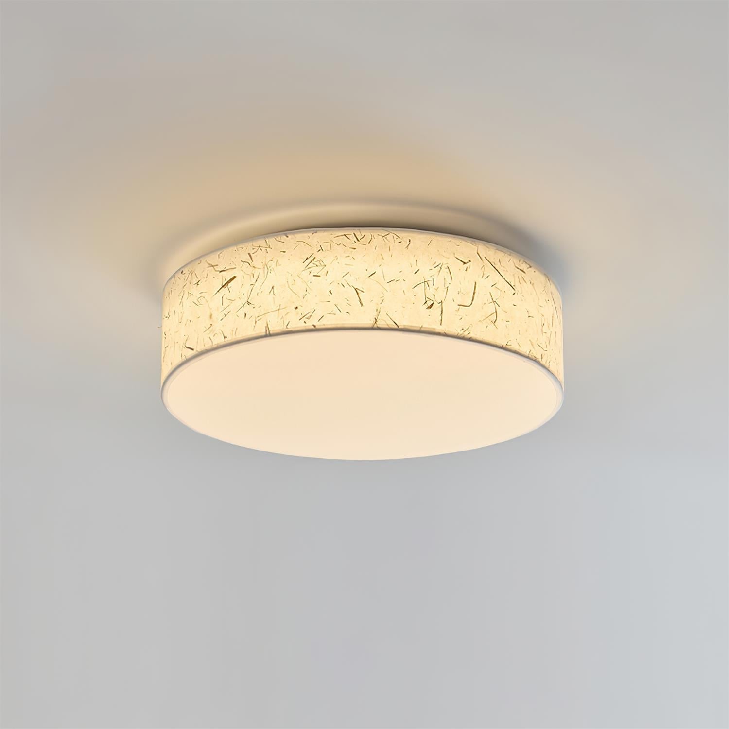 Elowen Ceiling Lamp