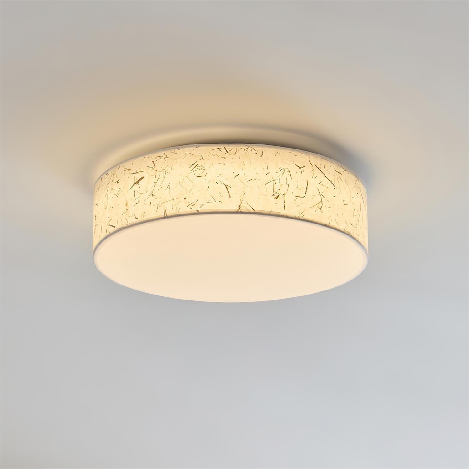Elowen Ceiling Lamp