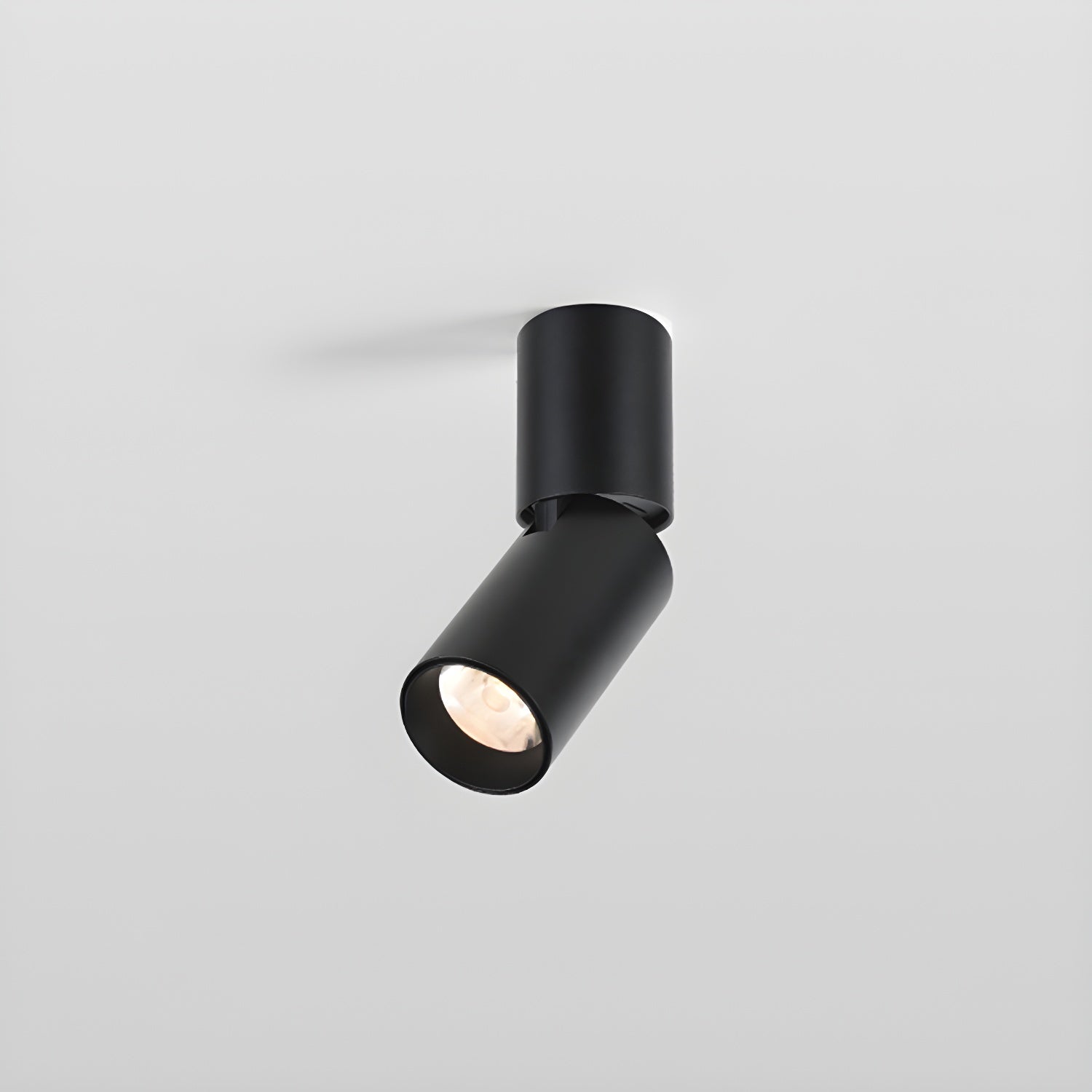 Elvynira Adjustable Surface Downlight Ceiling lamp-Neutral Decor
