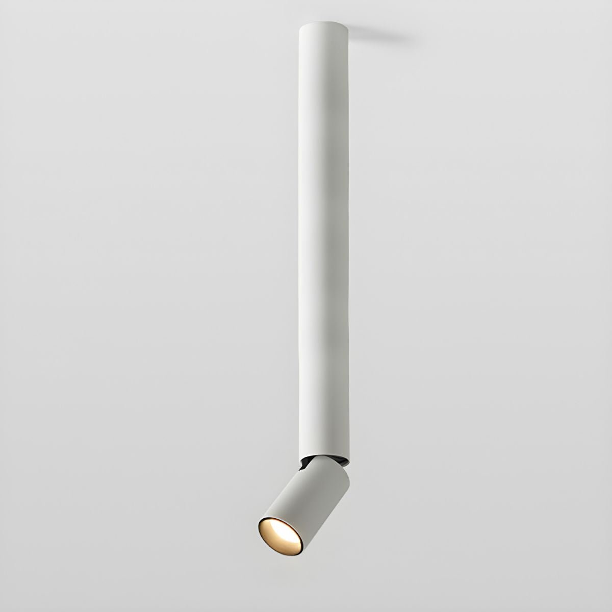 Elvynira Adjustable Surface Downlight Ceiling lamp-Neutral Decor