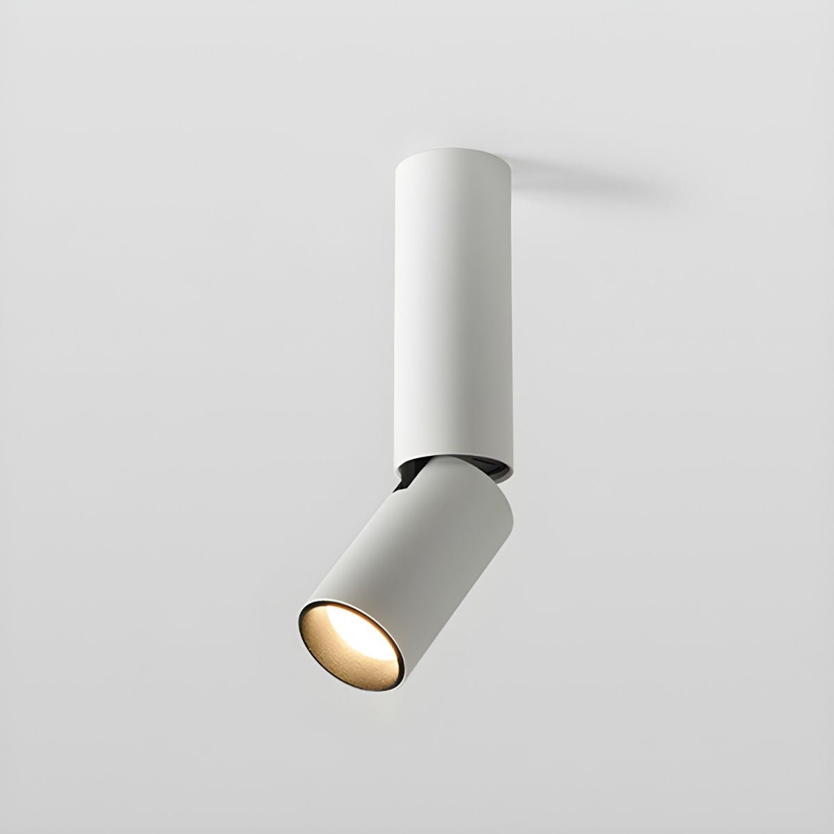 Elvynira Adjustable Surface Downlight Ceiling lamp-Neutral Decor