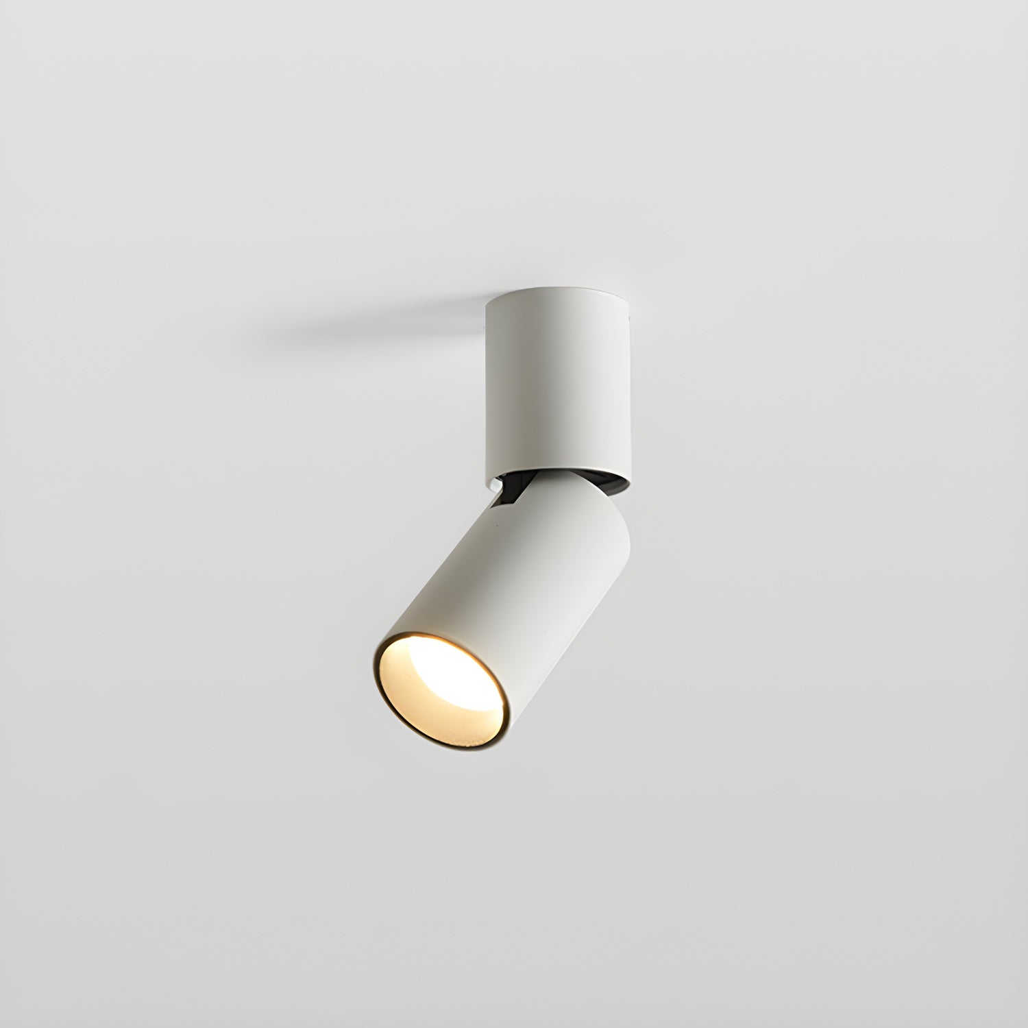Elvynira Adjustable Surface Downlight Ceiling lamp-Neutral Decor