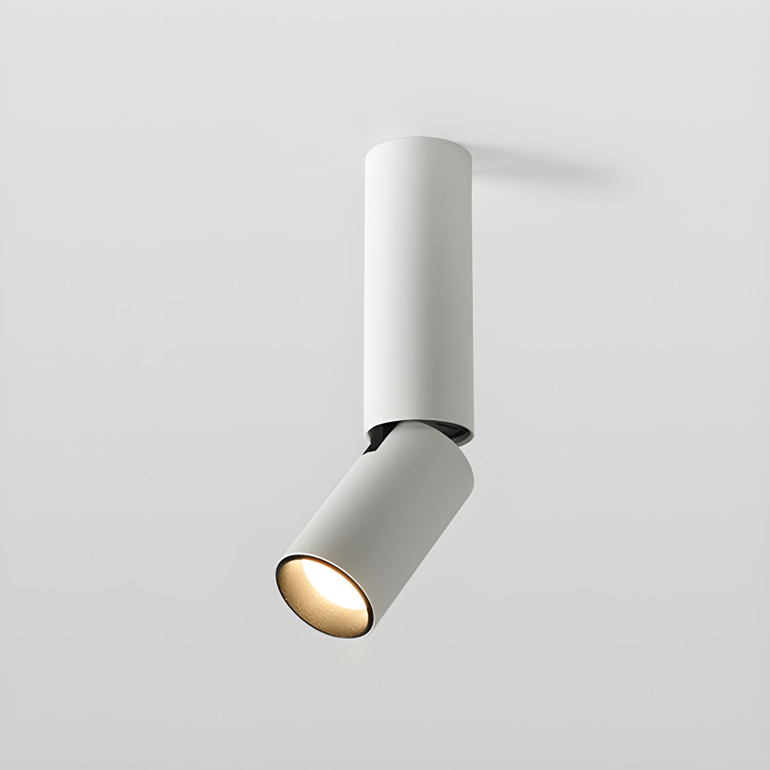 Elvynira Adjustable Surface Downlight Ceiling lamp-Neutral Decor