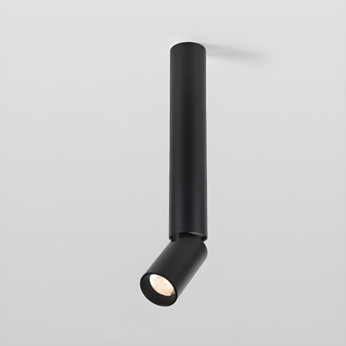 Elvynira Adjustable Surface Downlight Ceiling lamp-Neutral Decor