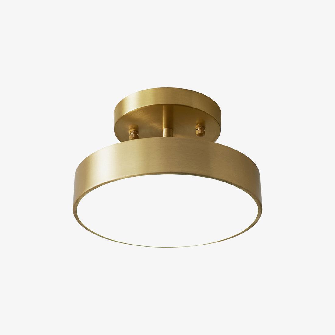 Eilora Modern Minimalist Rotating Ceiling Lamp-Neutral Decor