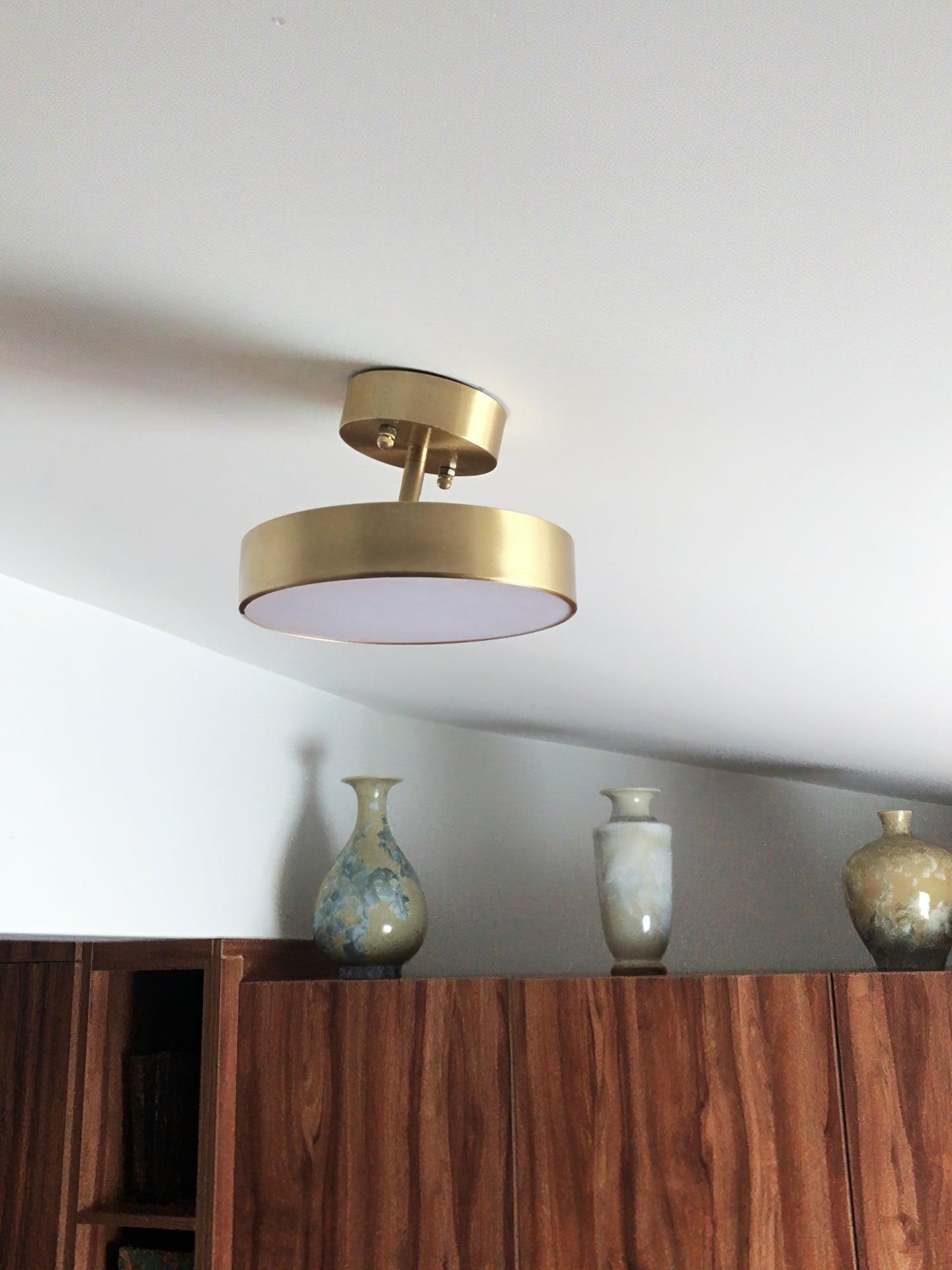 Eilora Modern Minimalist Rotating Ceiling Lamp-Neutral Decor