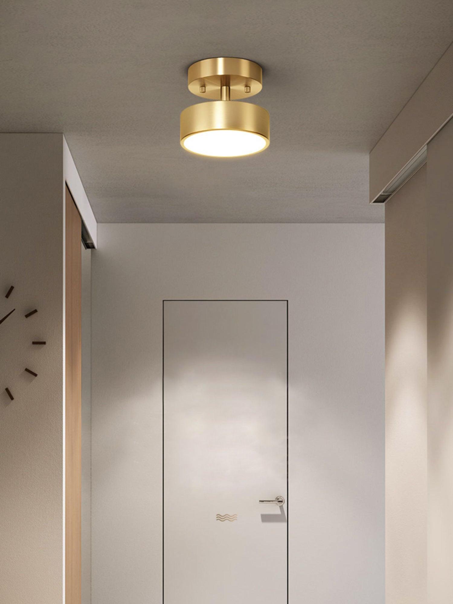 Eilora Modern Minimalist Rotating Ceiling Lamp-Neutral Decor