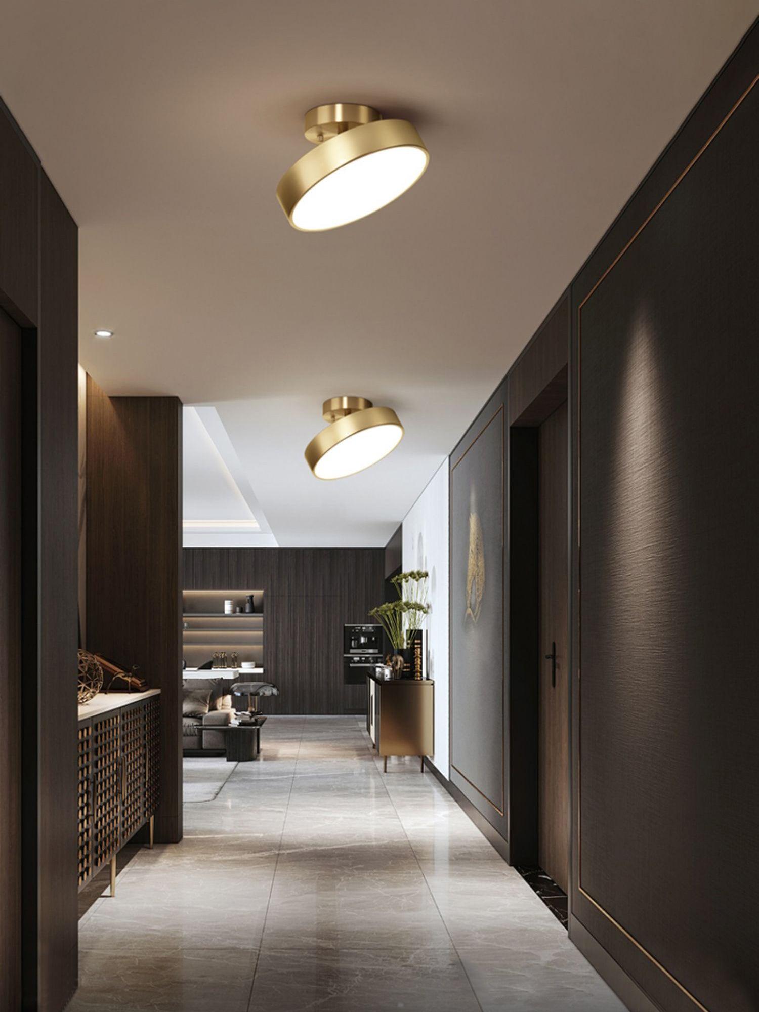 Eilora Modern Minimalist Rotating Ceiling Lamp-Neutral Decor
