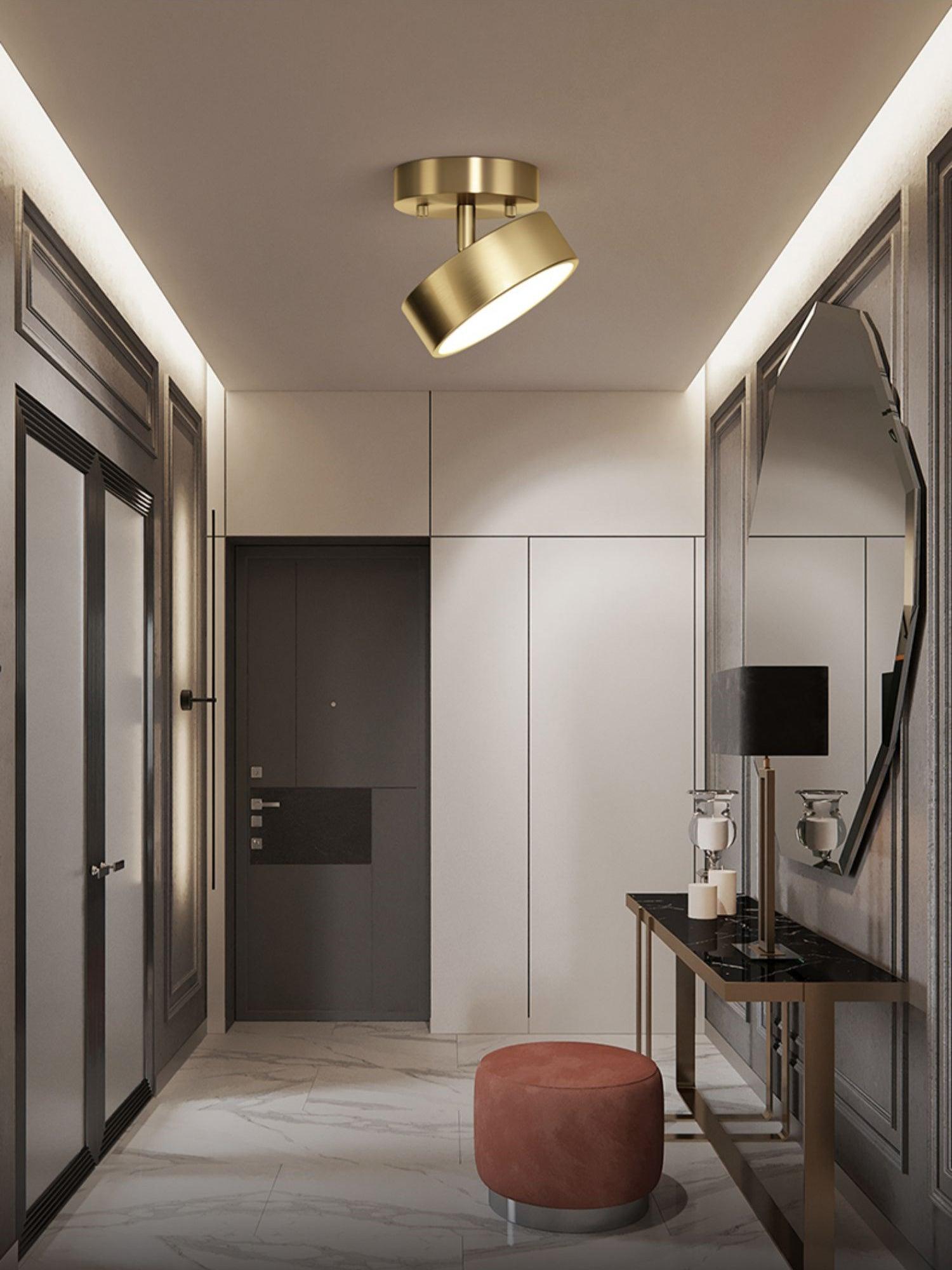Eilora Modern Minimalist Rotating Ceiling Lamp-Neutral Decor