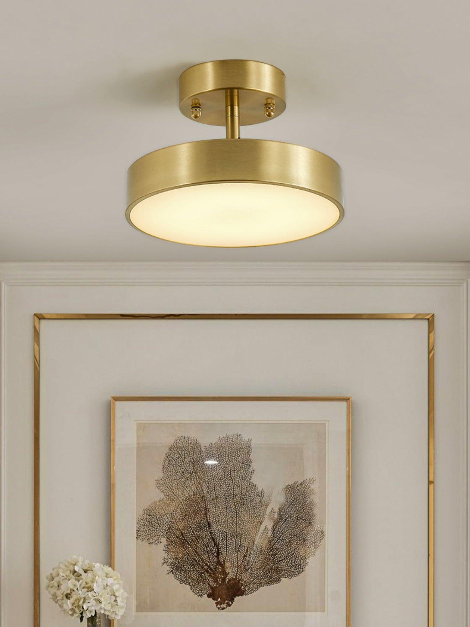 Eilora Modern Minimalist Rotating Ceiling Lamp-Neutral Decor