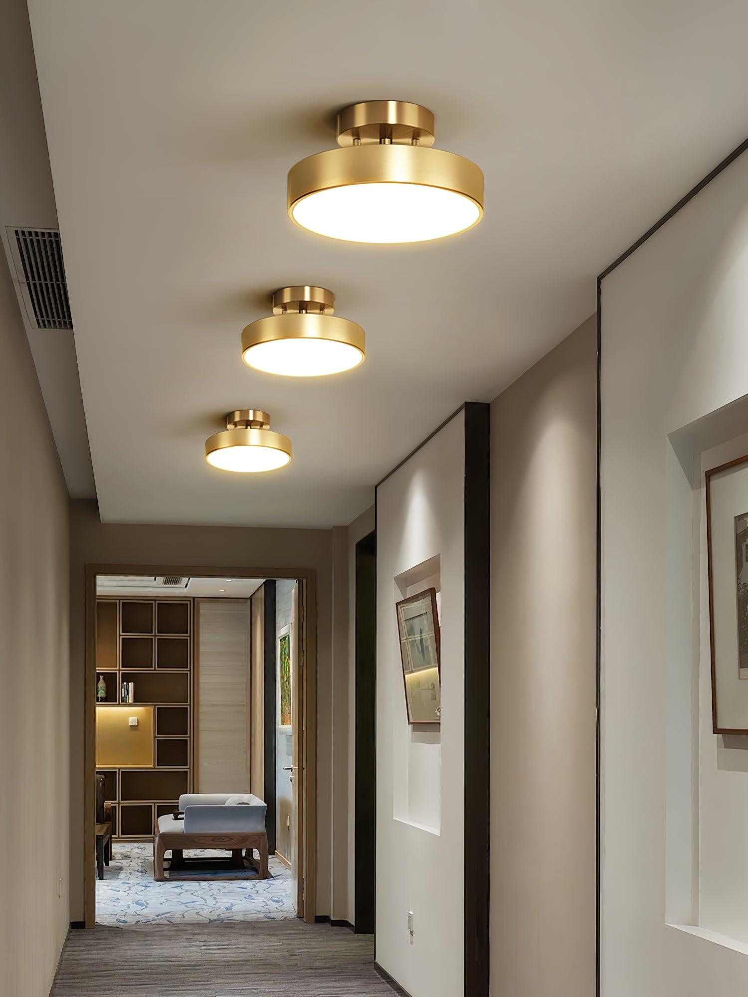 Eilora Modern Minimalist Rotating Ceiling Lamp-Neutral Decor