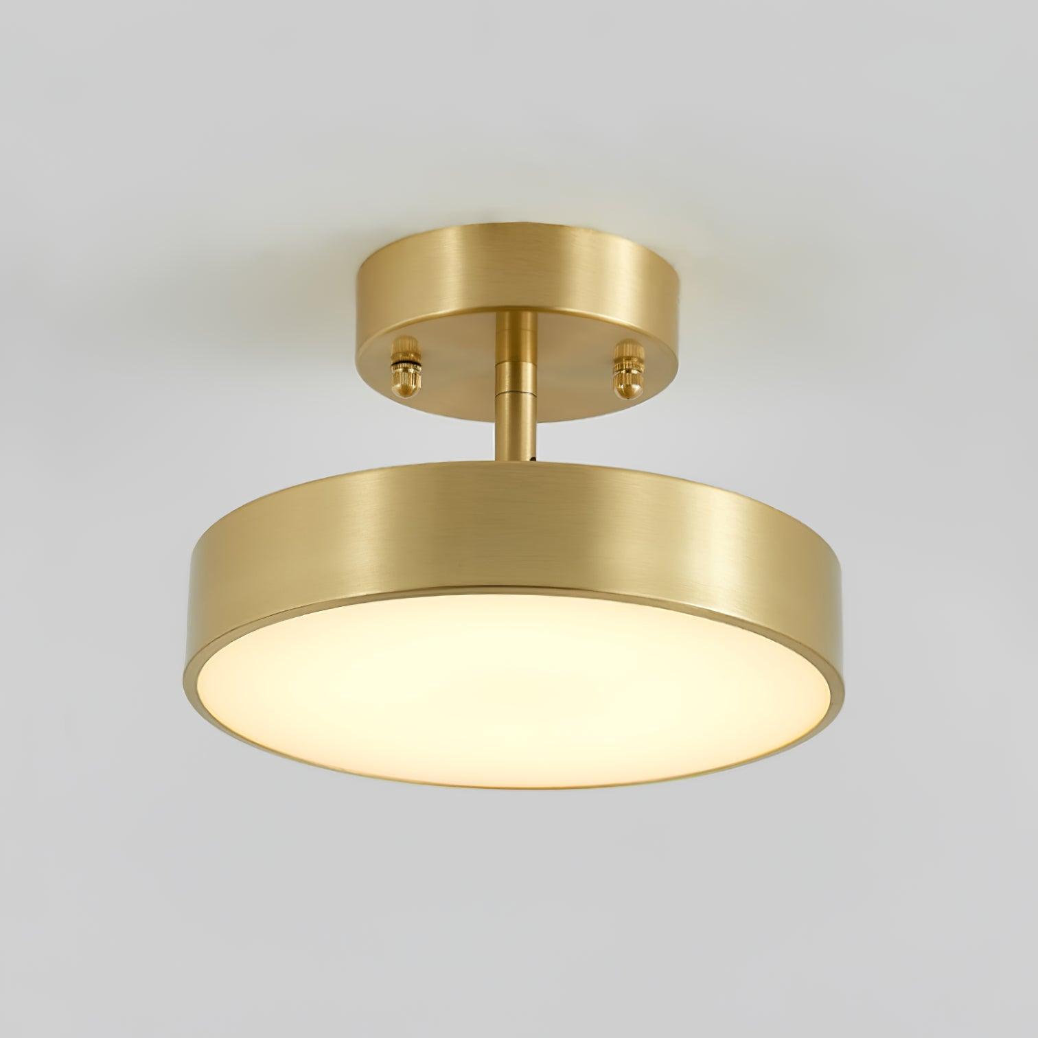 Eilora Modern Minimalist Rotating Ceiling Lamp-Neutral Decor