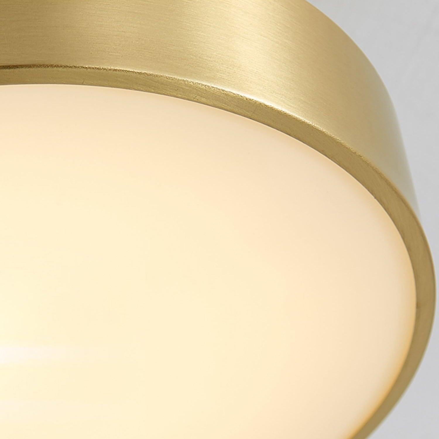 Eilora Modern Minimalist Rotating Ceiling Lamp-Neutral Decor