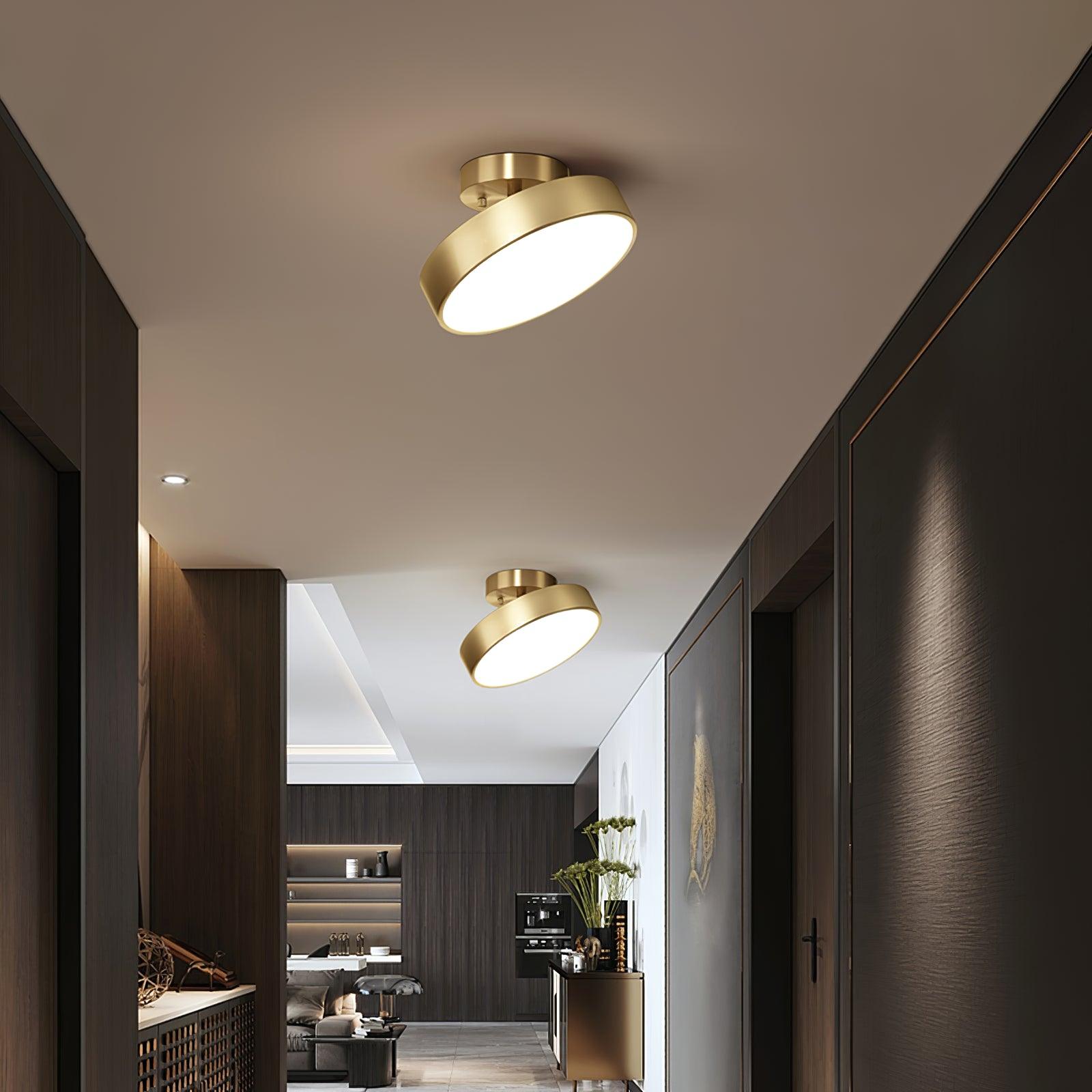 Eilora Modern Minimalist Rotating Ceiling Lamp-Neutral Decor