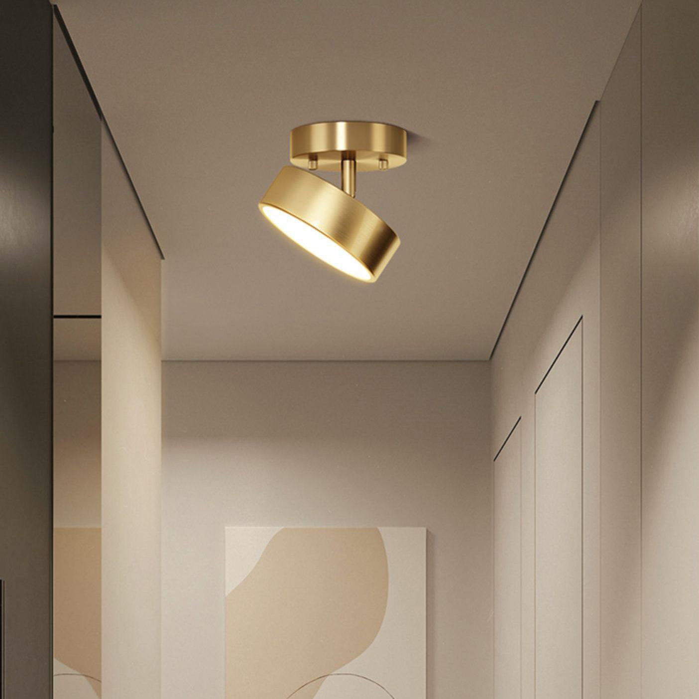 Eilora Modern Minimalist Rotating Ceiling Lamp-Neutral Decor