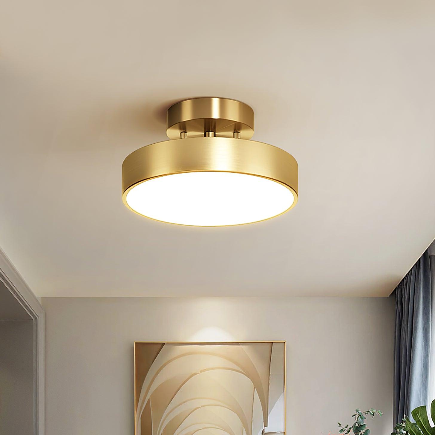 Eilora Modern Minimalist Rotating Ceiling Lamp-Neutral Decor