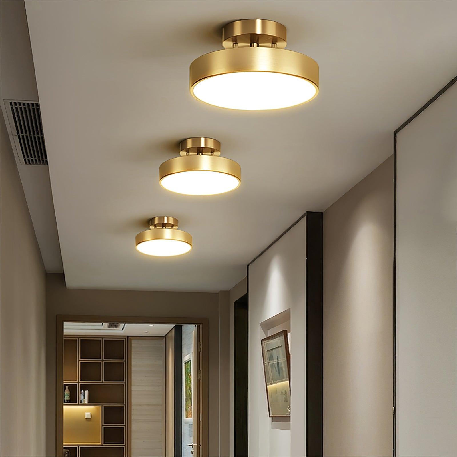 Eilora Modern Minimalist Rotating Ceiling Lamp-Neutral Decor