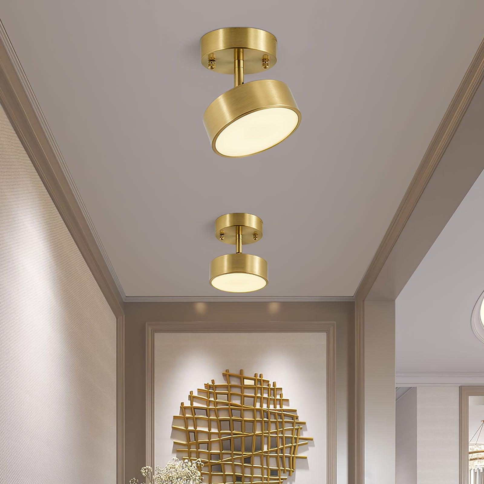 Eilora Modern Minimalist Rotating Ceiling Lamp-Neutral Decor