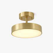 Eilora Modern Minimalist Rotating Ceiling Lamp-Neutral Decor
