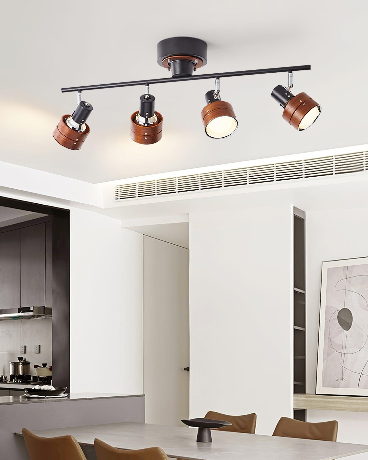 Miranaine Ceiling Light