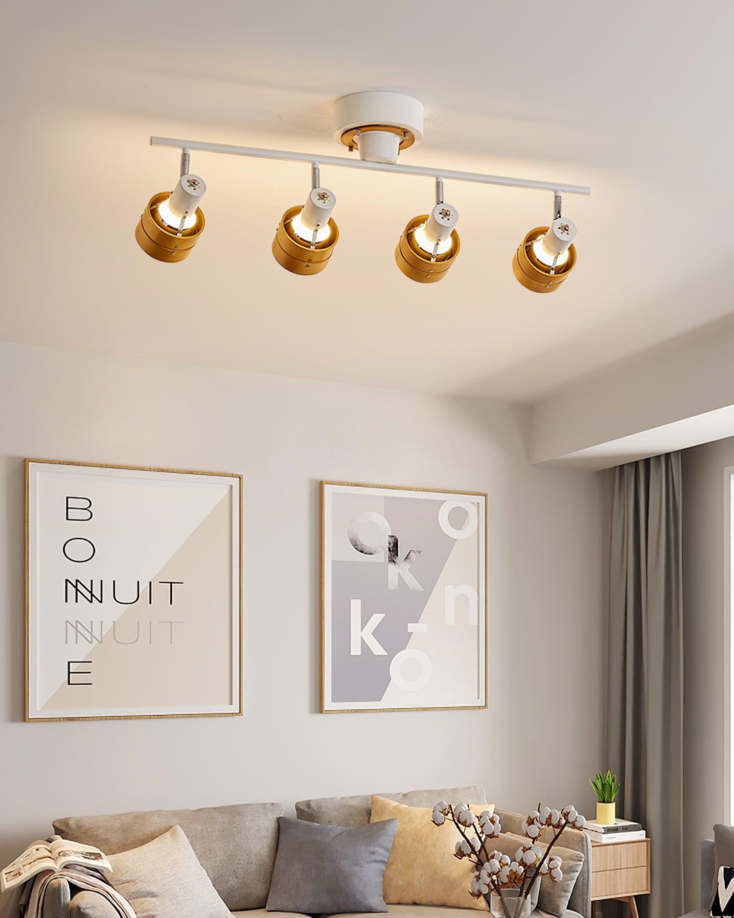 Miranaine Ceiling Light