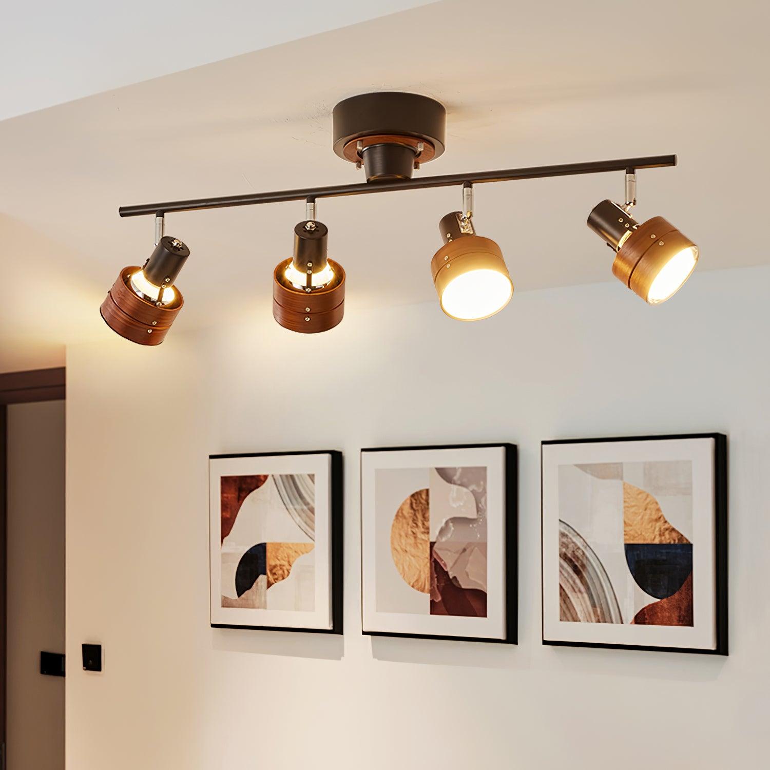 Miranaine Ceiling Light