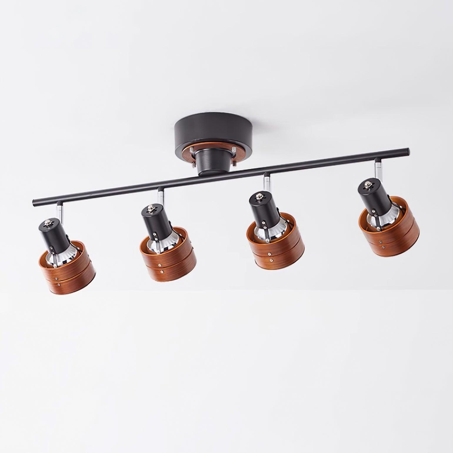 Miranaine Ceiling Light