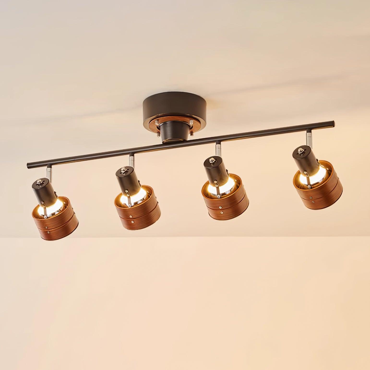 Miranaine Ceiling Light