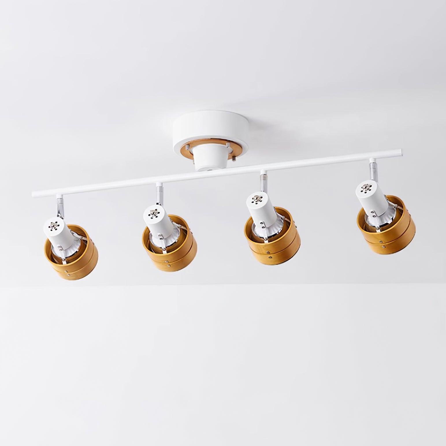 Miranaine Ceiling Light