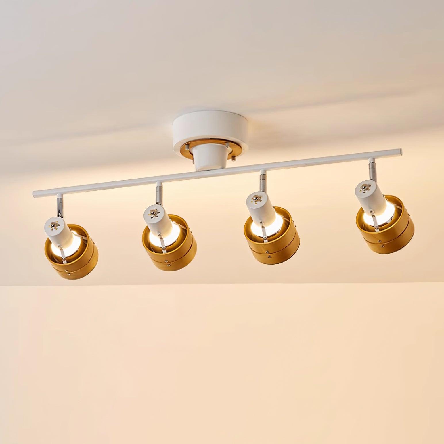 Miranaine Ceiling Light