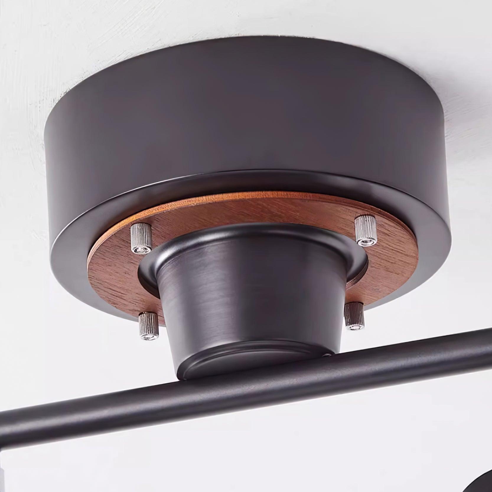 Miranaine Ceiling Light