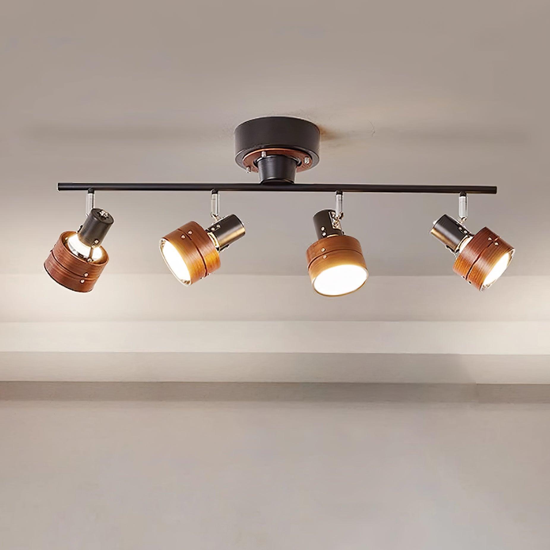 Miranaine Ceiling Light