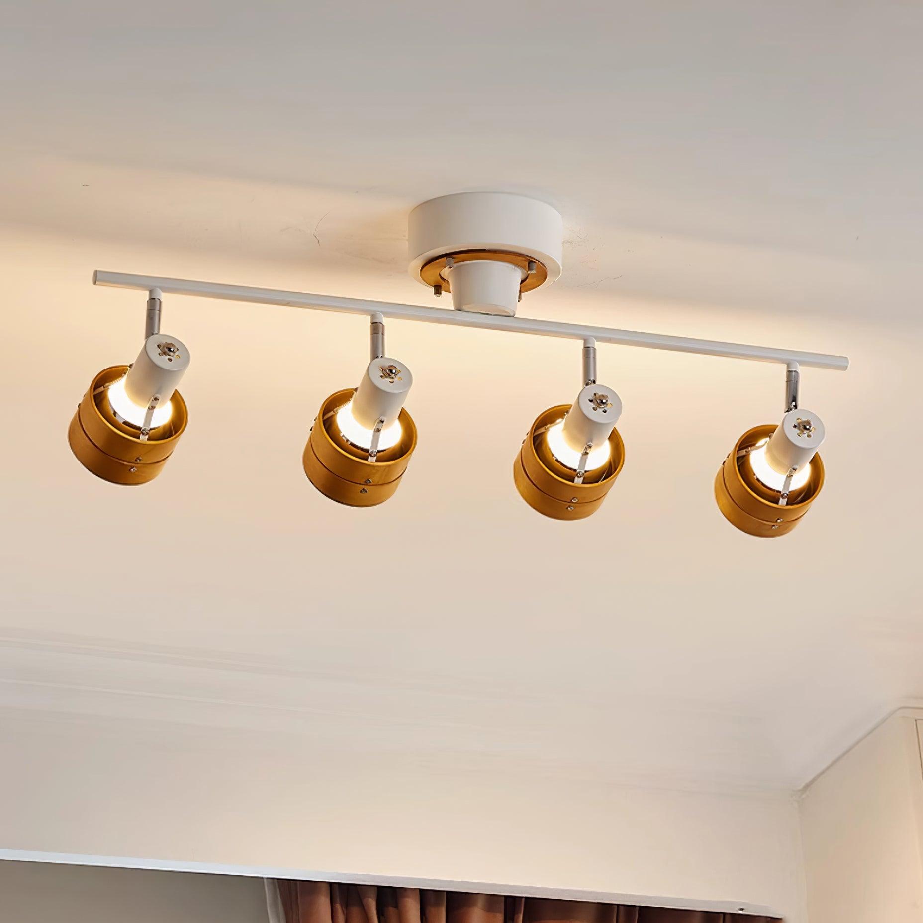 Miranaine Ceiling Light