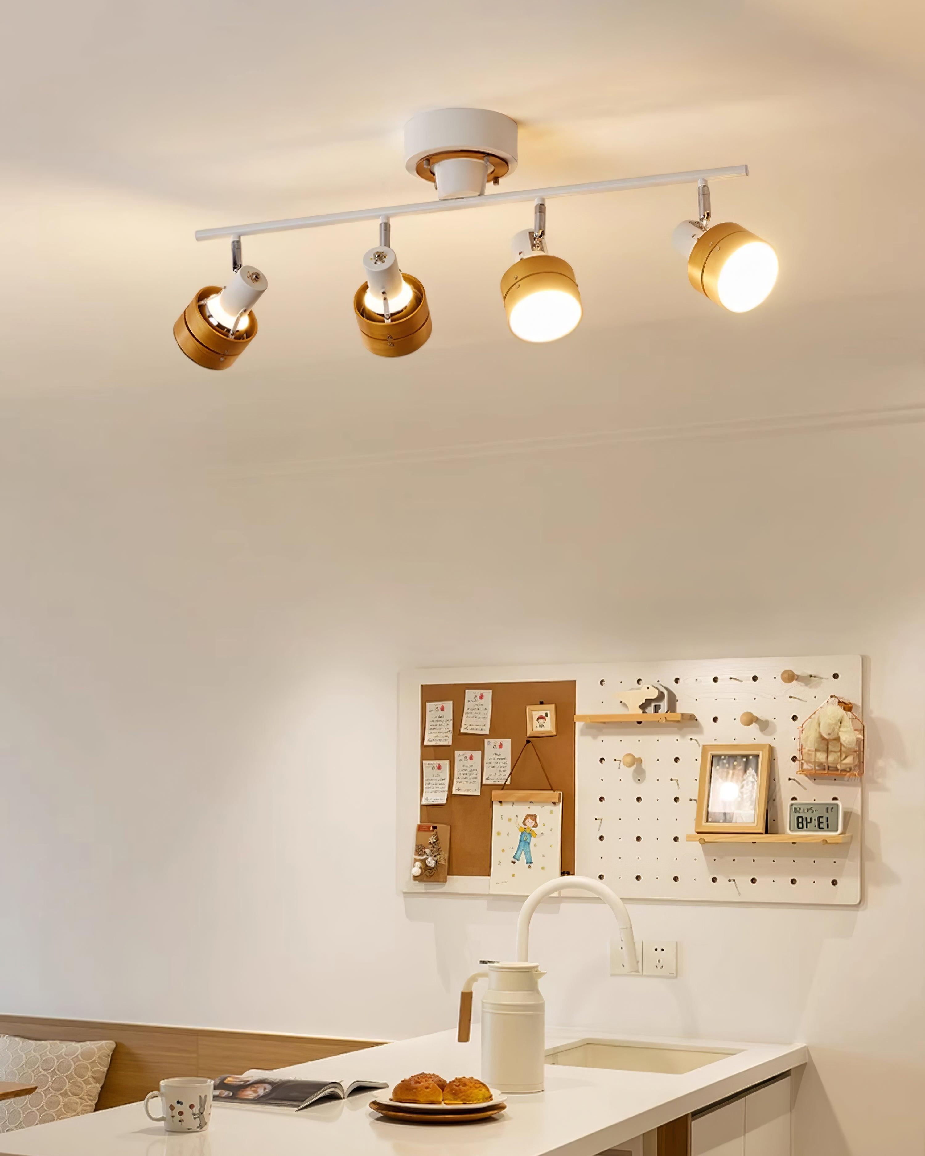Miranaine Ceiling Light