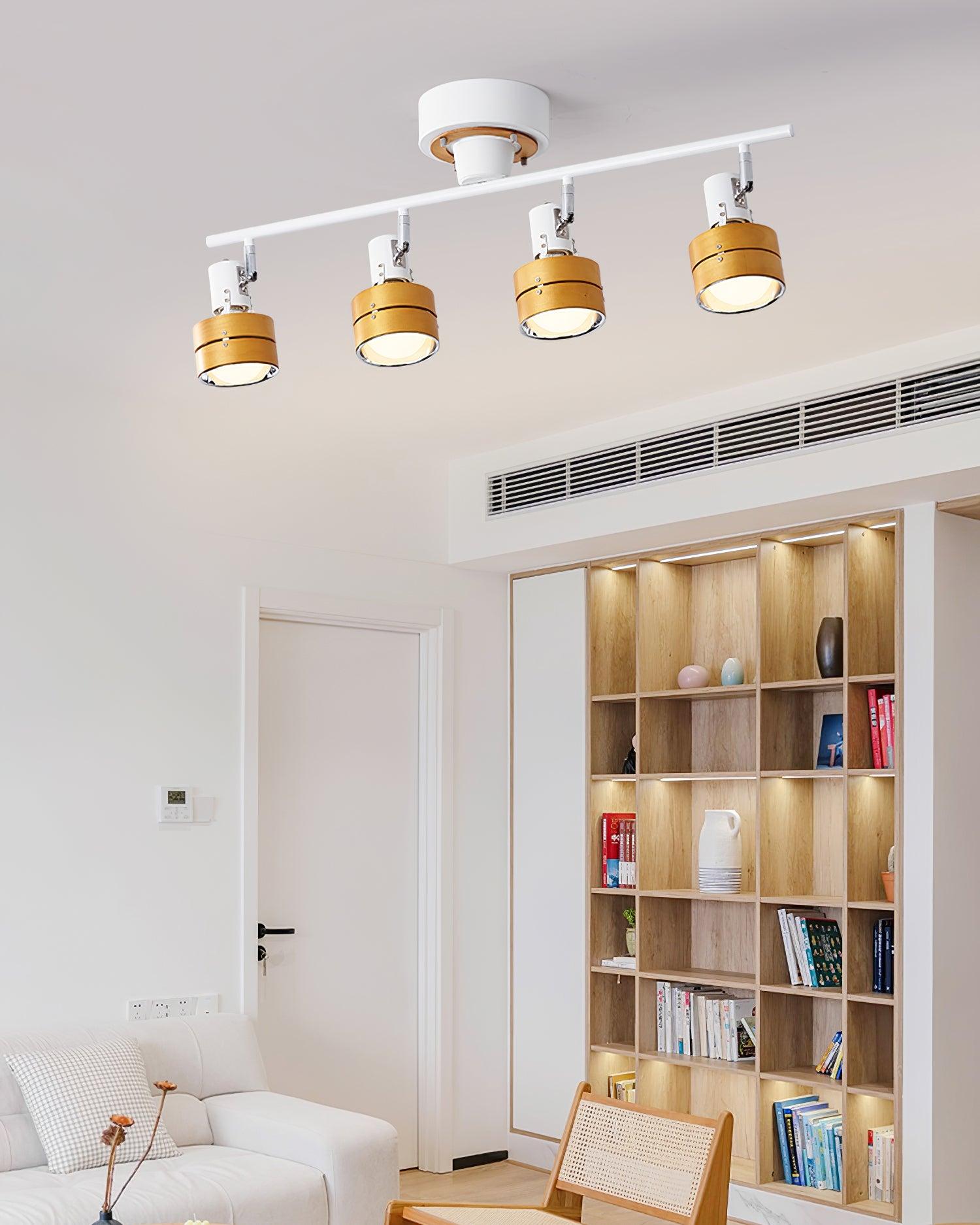 Miranaine Ceiling Light