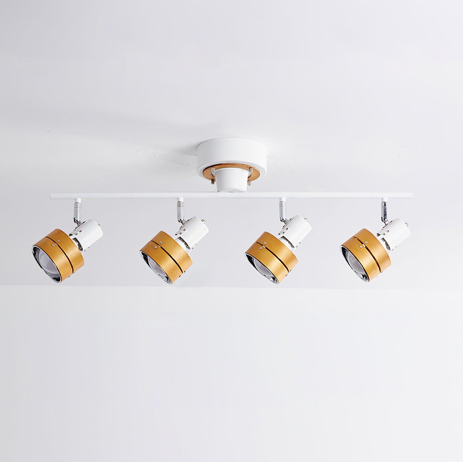 Miranaine Ceiling Light