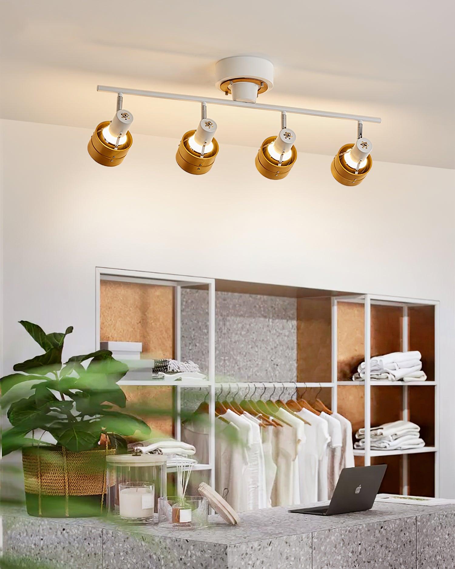 Miranaine Ceiling Light