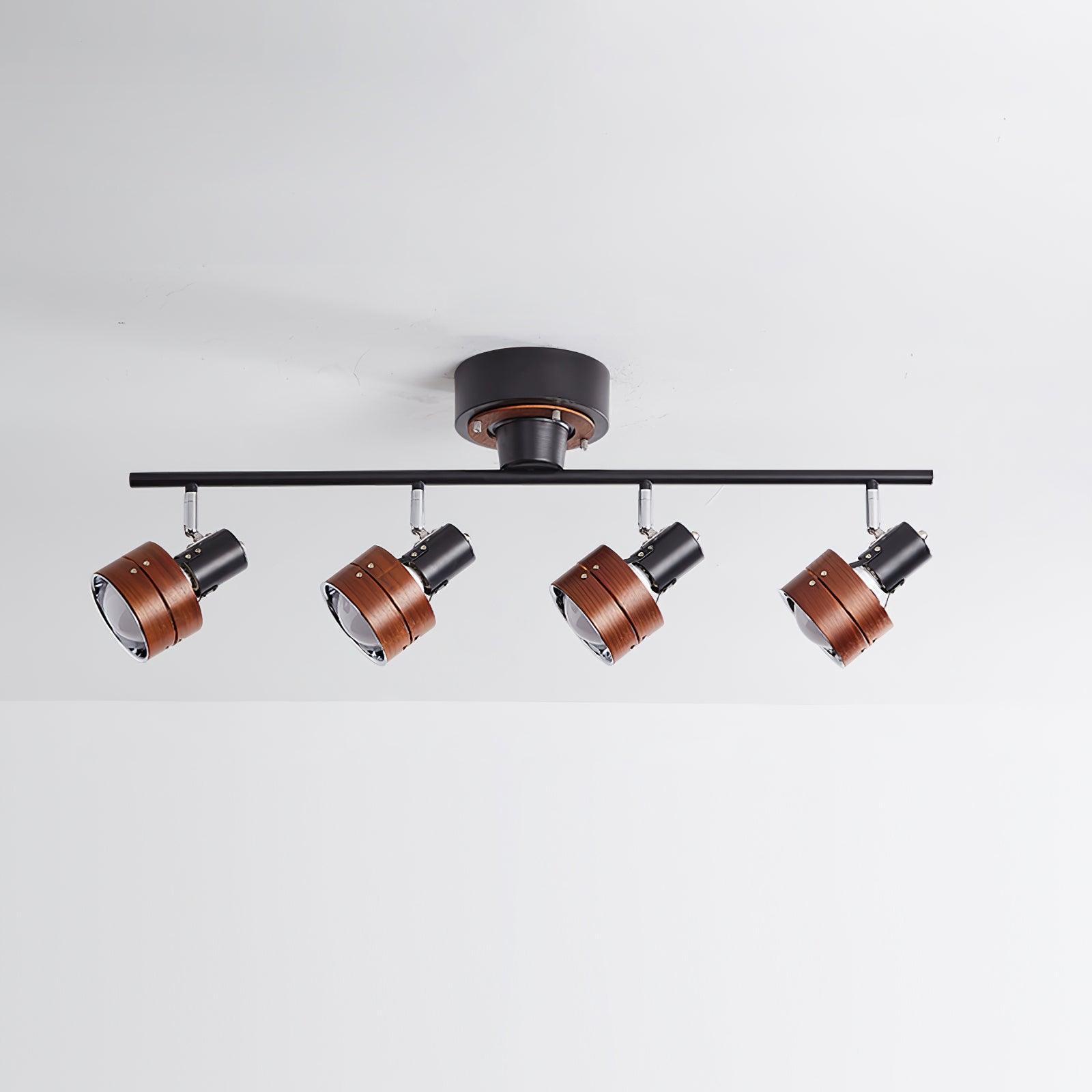 Miranaine Ceiling Light