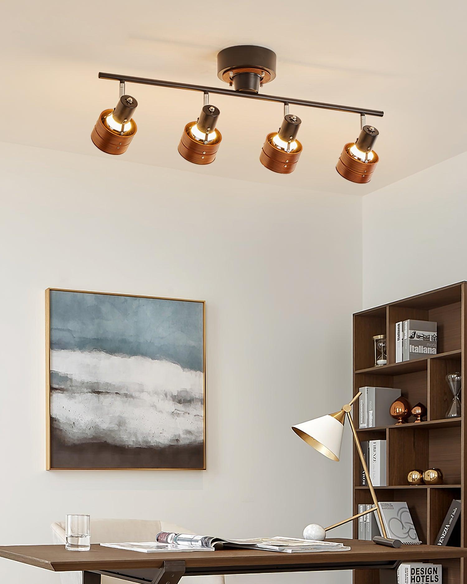 Miranaine Ceiling Light