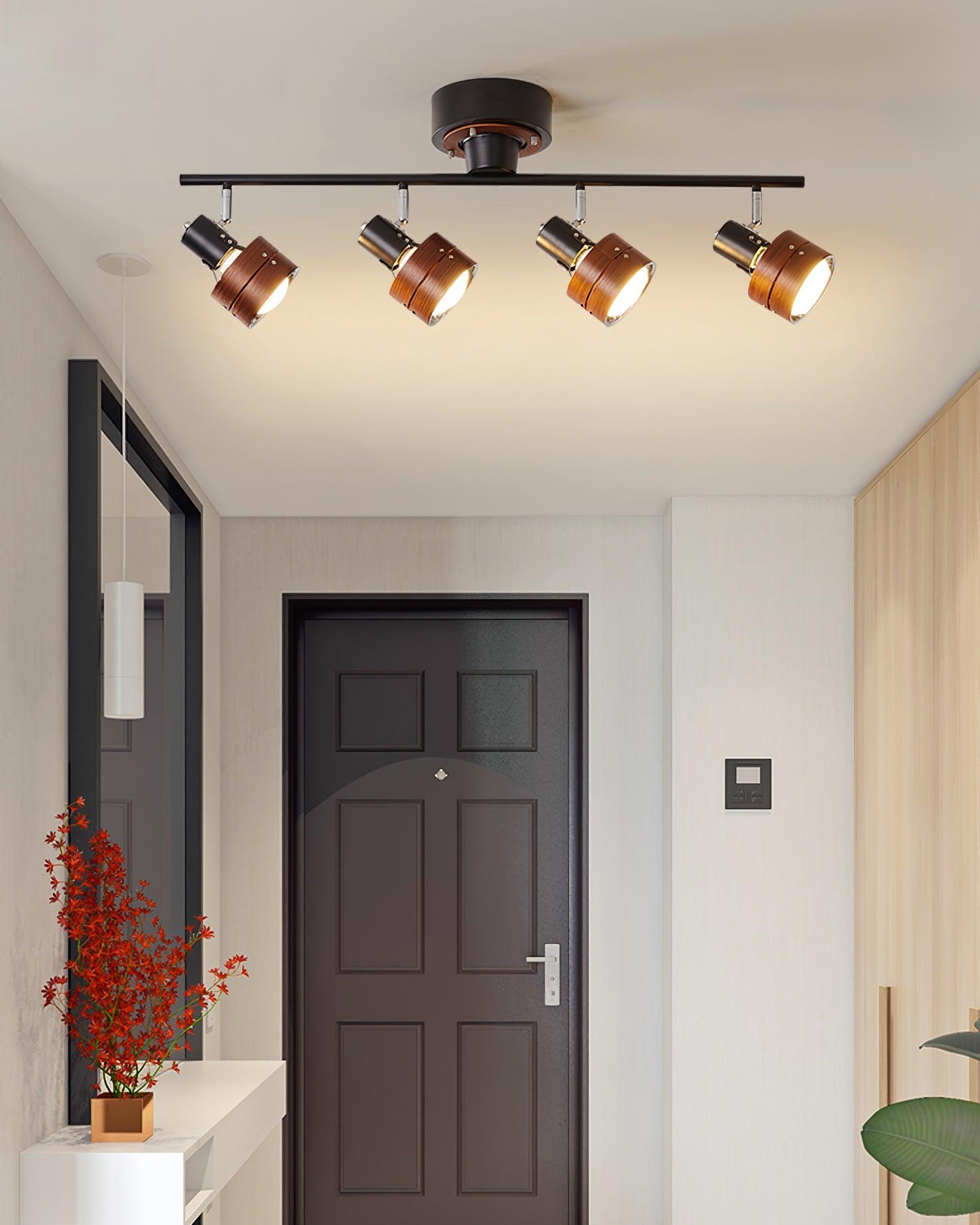 Miranaine Ceiling Light