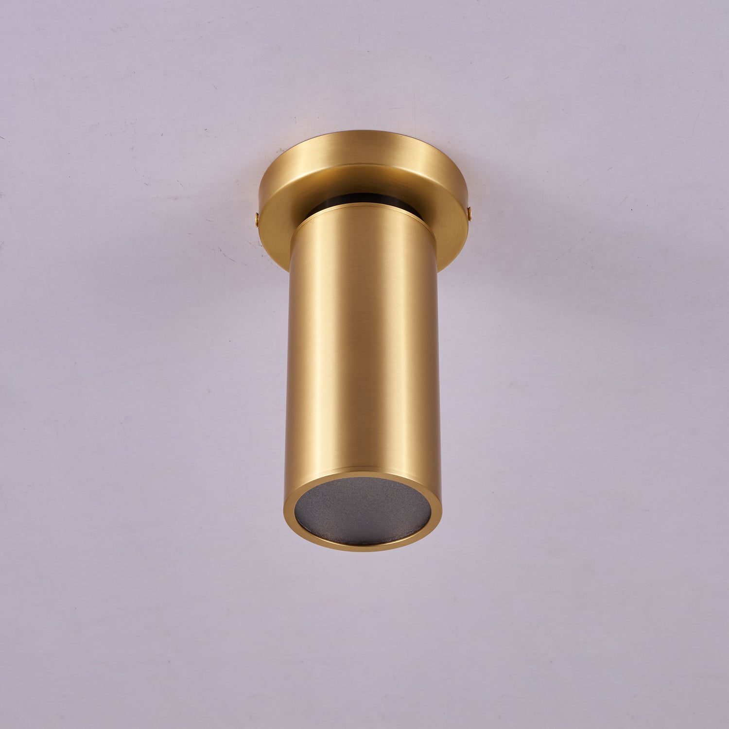 Syloran Modern Minimalist Brass Spot Light Ceiling lamp-Neutral Decor