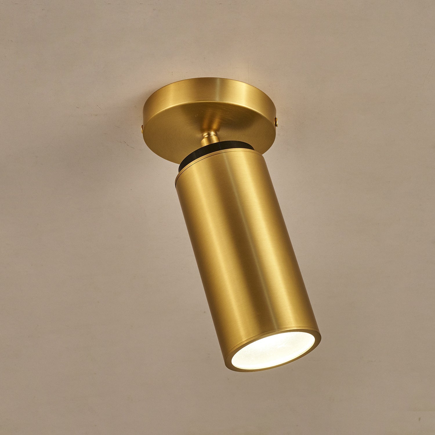 Syloran Modern Minimalist Brass Spot Light Ceiling lamp-Neutral Decor