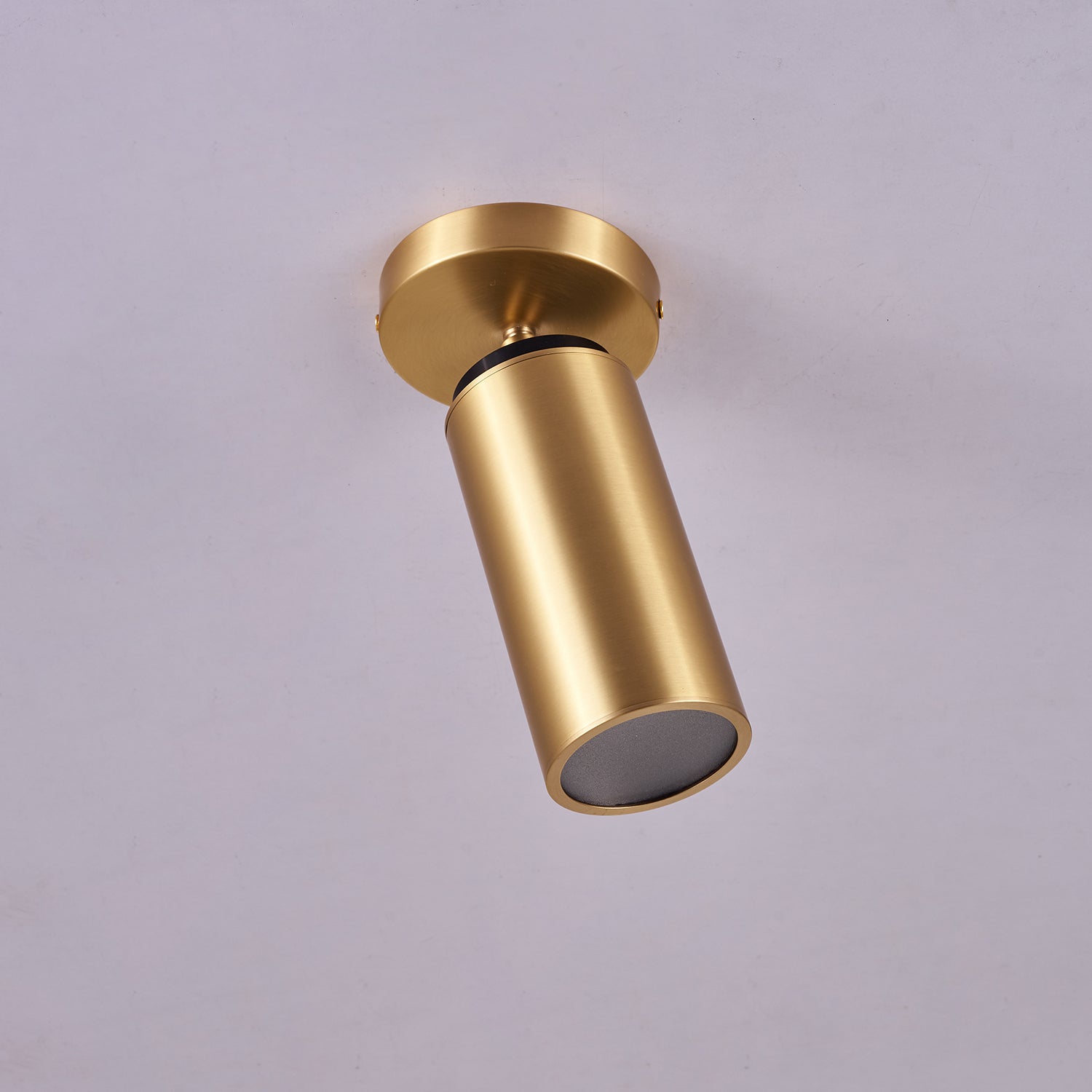Syloran Modern Minimalist Brass Spot Light Ceiling lamp-Neutral Decor