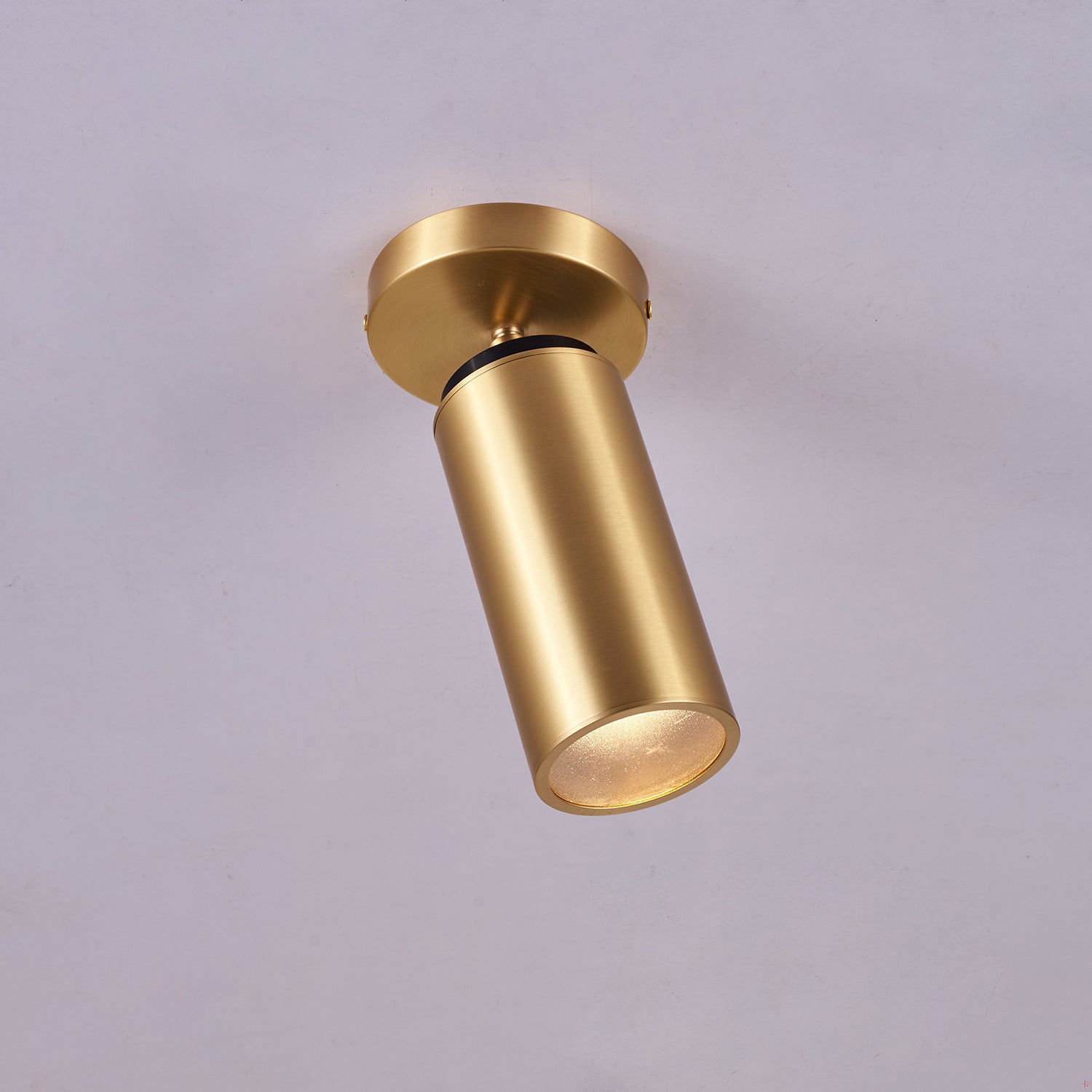 Syloran Modern Minimalist Brass Spot Light Ceiling lamp-Neutral Decor