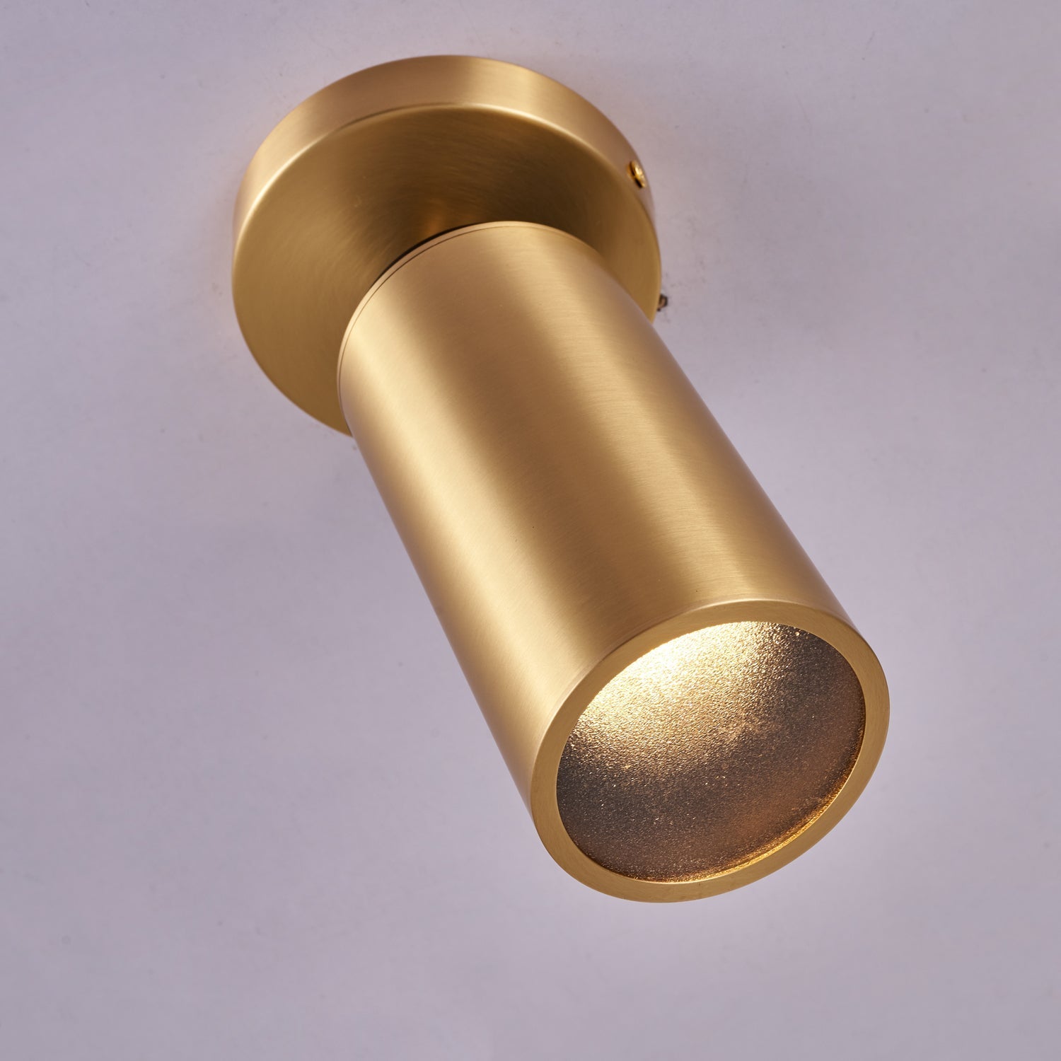 Syloran Modern Minimalist Brass Spot Light Ceiling lamp-Neutral Decor