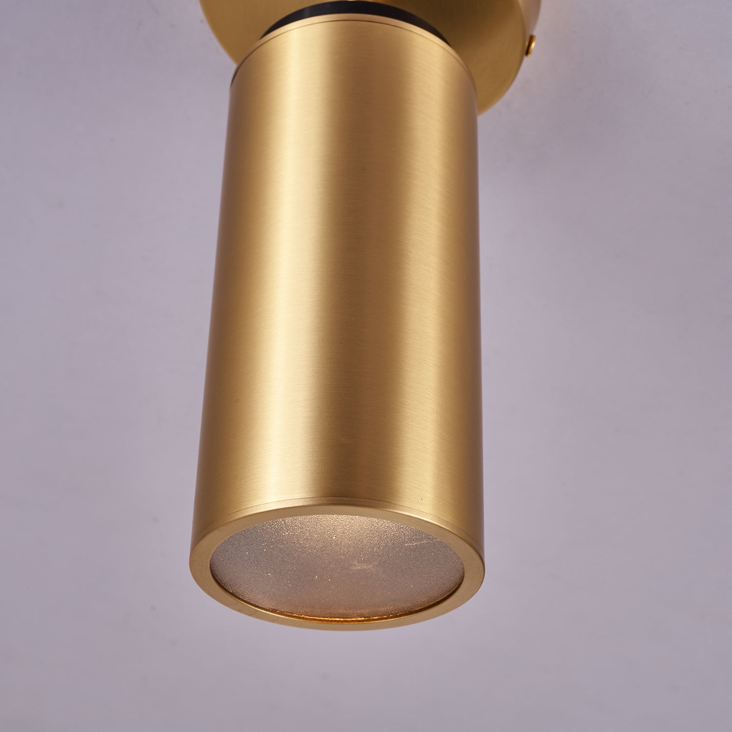Syloran Modern Minimalist Brass Spot Light Ceiling lamp-Neutral Decor