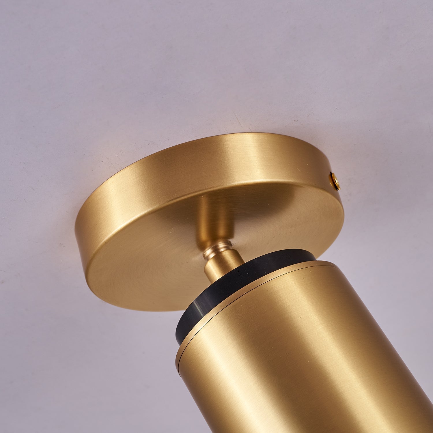 Syloran Modern Minimalist Brass Spot Light Ceiling lamp-Neutral Decor