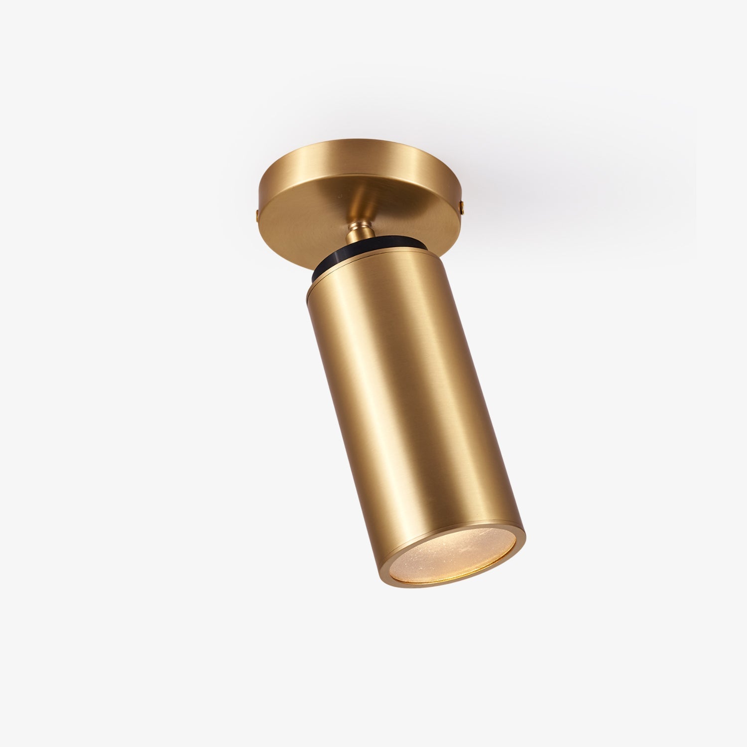 Syloran Modern Minimalist Brass Spot Light Ceiling lamp-Neutral Decor