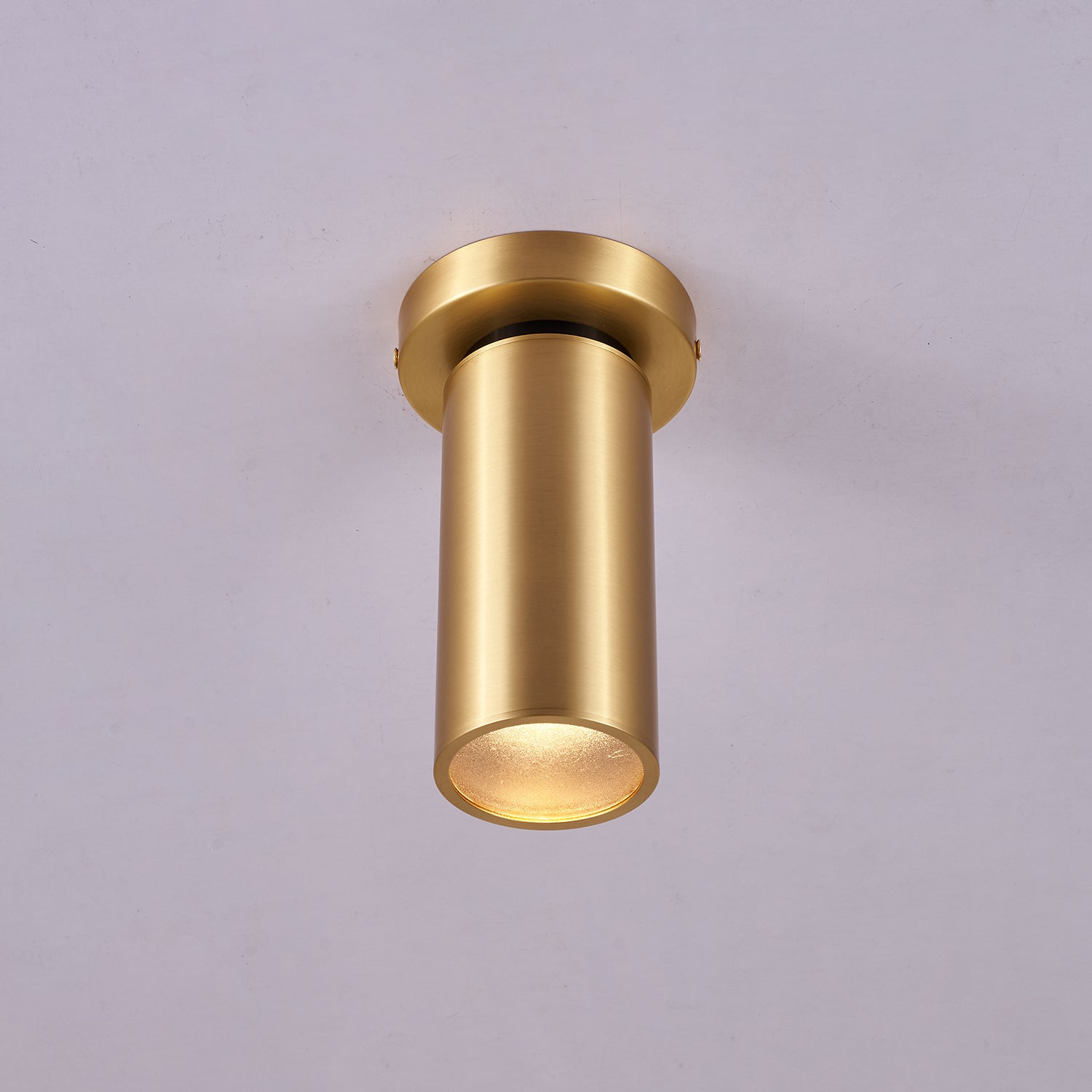 Syloran Modern Minimalist Brass Spot Light Ceiling lamp-Neutral Decor